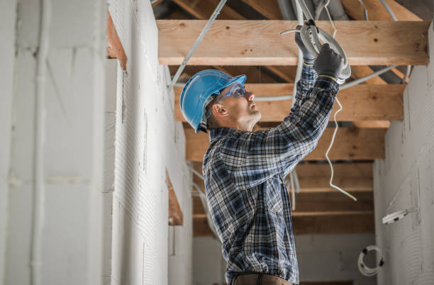 Best Electric Panel Repair  in Asbury, IA